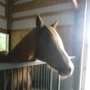 Meet your Posher, Leah